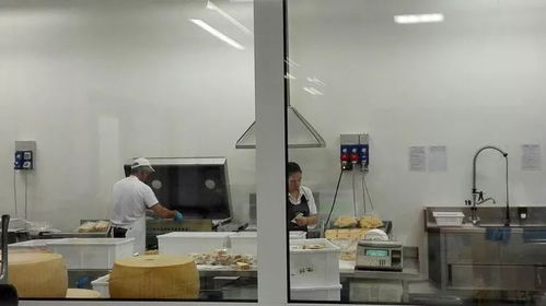 探尋中國家庭奶牛養(yǎng)殖業(yè)的出路 意大利奶業(yè)給我們帶來什么樣的啟示