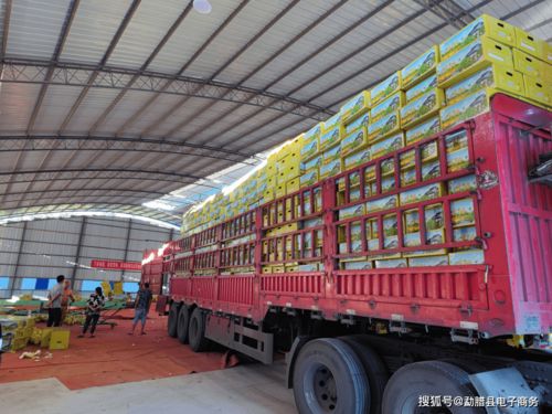 愛心助農(nóng),勐臘電商在行動